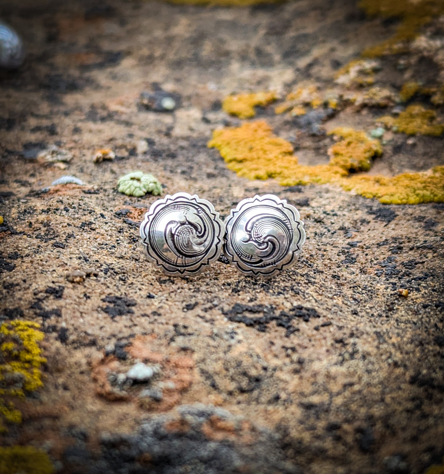 1/2 " scallop and point silver concho post earrings